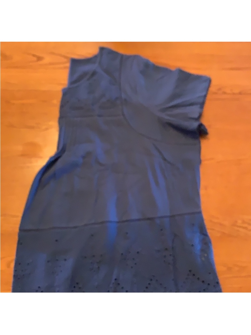 Woman Within Blue Eyelet Hem Short Sleeve Top